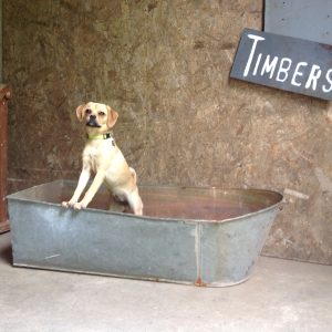 Tin Tub with flat end