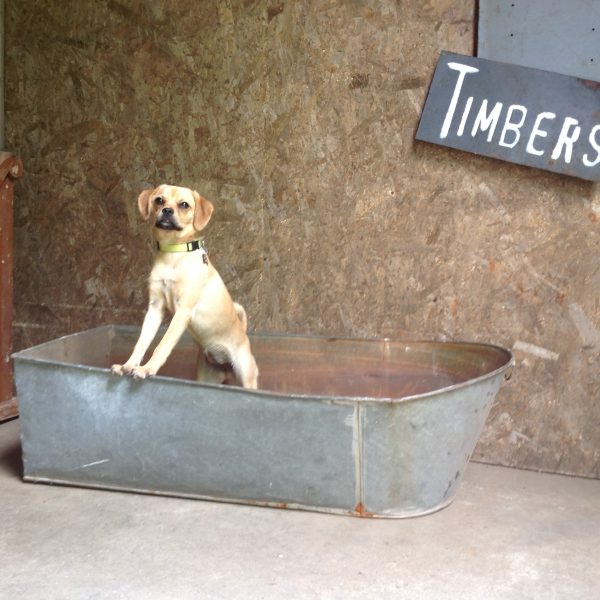Tin Tub with flat end