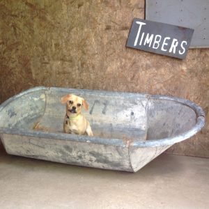 Tin Tub with Drain
