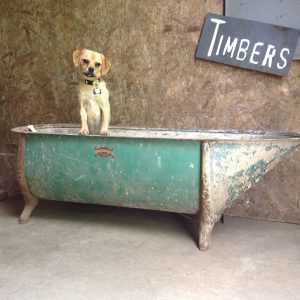Steel Trough & Machine Co Ltd Tin Tub