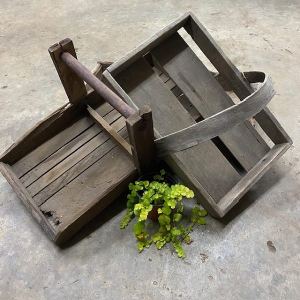 Berry Boxes - Image 3