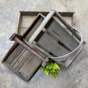 Berry Boxes