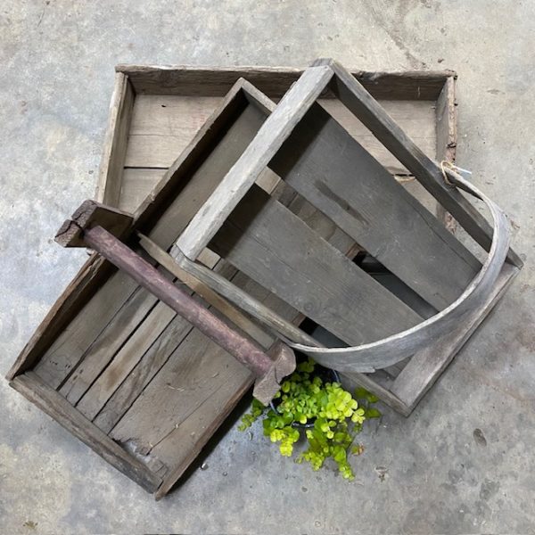 Berry Boxes